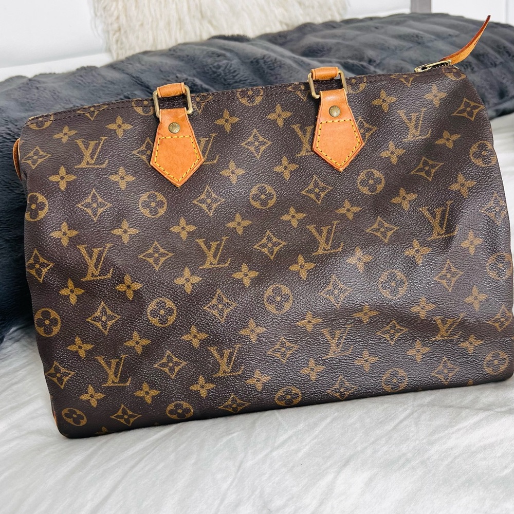 Louis Vuitton Monogram Brown and Tan Bag